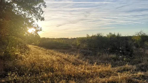 "La Gironde est dévastée par le feu, la Sologne est tout autant...