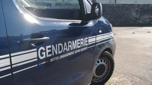 Loir-et-Cher : attention aux sangliers sur les routes ! 