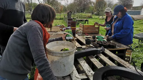 Blois : les Jardins du Cœur pansent leurs plaies