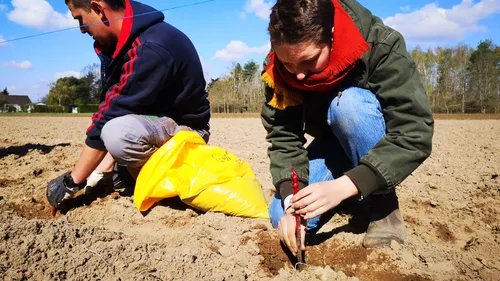 [PODCAST] Un cépage oublié refait surface en Loir-et-Cher