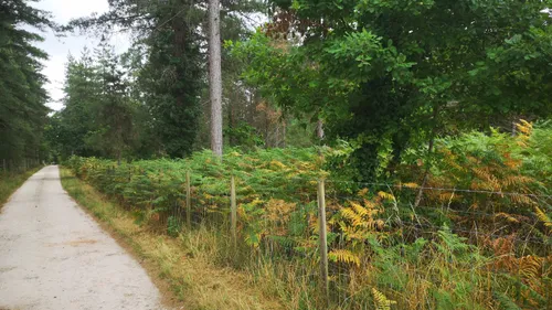 Golf des Pommereaux : "Un projet indigne en cette période de sobriété"