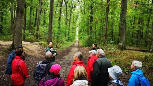 [PODCAST] Les forêts, sentinelles du changement climatique