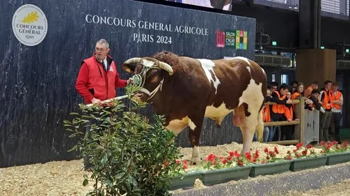 Porto, un poids-lourd sur le ring du Salon de l’Agriculture !
