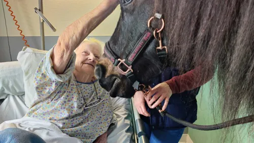 Sarthe : Oscar, un double-poney à l’Ehpad