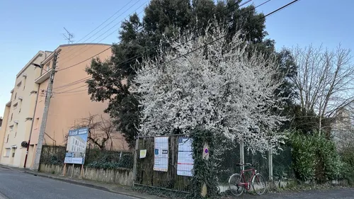 Au Mans, le projet d'immeuble refait surface dans la rue de la...