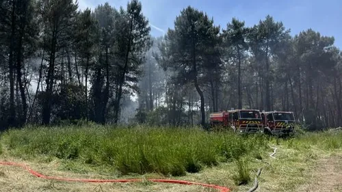 Marigné-Laillé : troisième feu de forêt dans le même secteur