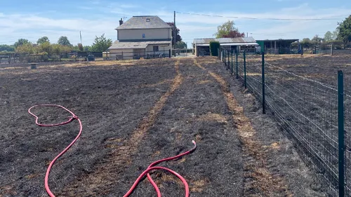 Huit hectares ravagés au Mesnil-Bacley