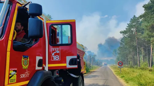 Feu de forêt en Sarthe : déjà 180 hectares détruits