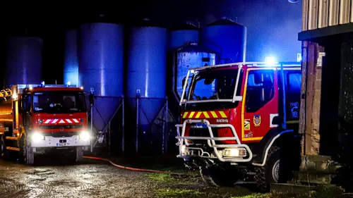 Cures : 850 cochons périssent dans un incendie