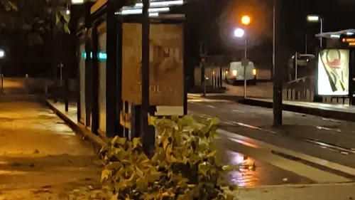 Orages : plusieurs parcs toujours fermés à Saint-Etienne-du-Rouvray