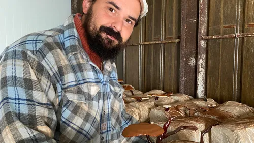 Louviers : ses champignons exotiques sont comestibles et médicinaux