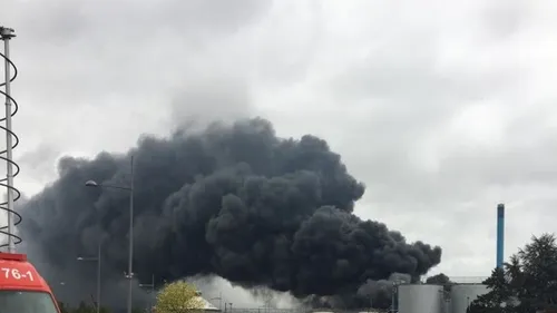 Lubrizol : une étude s’intéresse aux effets de l’incendie sur le...