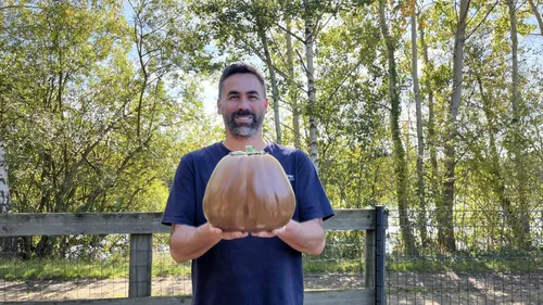 Les légumes géants de ce maraîcher Sarthois battent des records