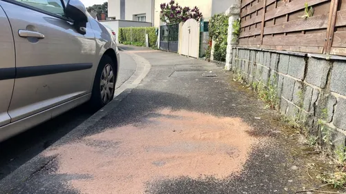 Couple retrouvé mort au Mans : les voisins entre peur et sidération