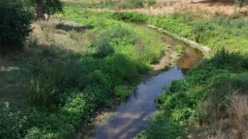 Dans le haut Anjou, la fragilité de l’Oudon mise à nu par le manque...