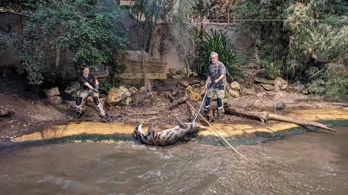 [Photos + vidéos] Une opération exceptionnelle à Biotropica
