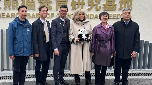 ZooParc de Beauval : un couple de pandas attendu avant 2027