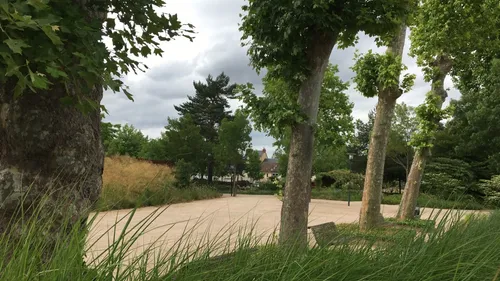 Tempête Diego : les parcs et jardins fermés au Mans ce vendredi