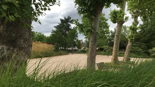 Vents forts : parcs publics fermés, trains au ralenti