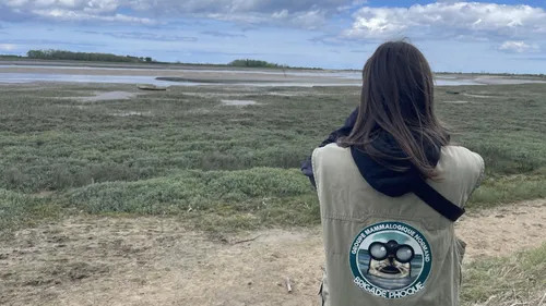 Baie de Sallenelles : à la rencontre de la brigade phoques