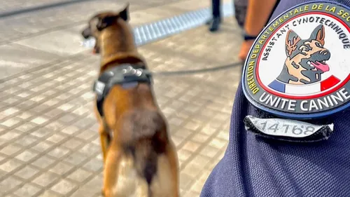 Au Mans, contrôles de police tous azimuts sur le square Lafayette