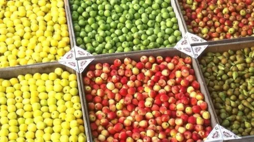 Maison Leroy : l’heure de la cueillette a sonné