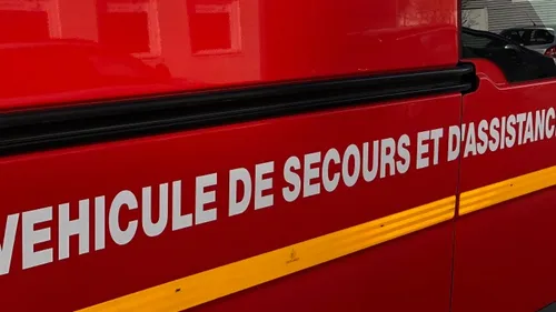 Sarthe : deux chevaux décèdent dans un accident de la route