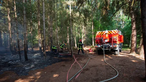 Incendies : plusieurs hectares de végétation détruits en Sarthe