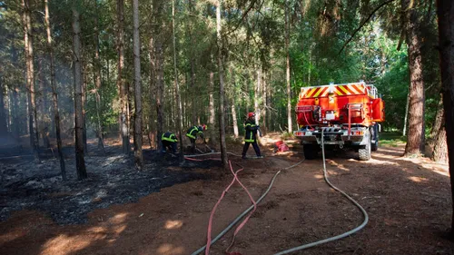 Sarthe : feu de forêt à Cérans-Foulletourte, plus de 130 pompiers...