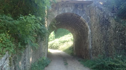 Pour mener à bien les travaux, la SNCF suspend le trafic sur la...