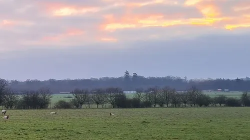 Des températures printanières pour la Saint-Valentin en Sologne