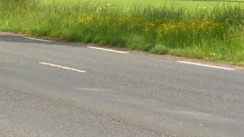 Le Conseil départemental de Loir-et-Cher dit oui à la reprise de la...