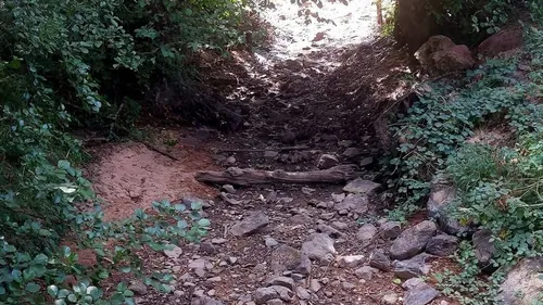 Orne : la sécheresse persiste et menace la faune aquatique