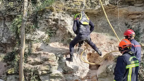 Brévainville : l’incroyable sauvetage de Pixie 