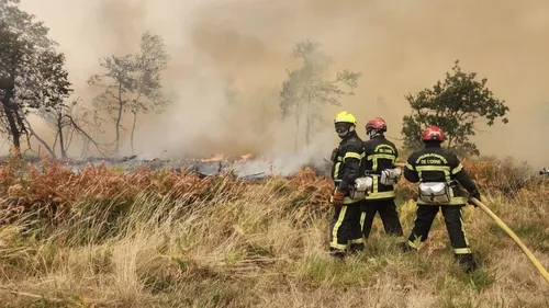 Incendies de l'été : mobilisation inédite des pompiers de l'Orne