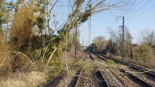 Le trafic SNCF perturbé entre Caen et Lisieux après la chute d'un...