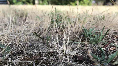 "Seuil d'alerte" : restrictions d'eau dans le sud Mayenne
