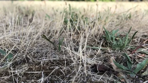 Sécheresse : la situation s'aggrave dans le sud de l'Eure