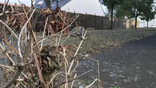 Sécheresse : allégement des restrictions en Mayenne