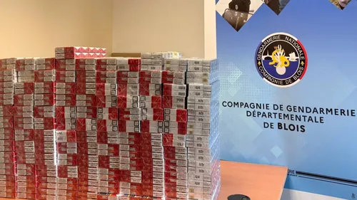 Des dizaines de cartouches de cigarettes illégales saisies près de...