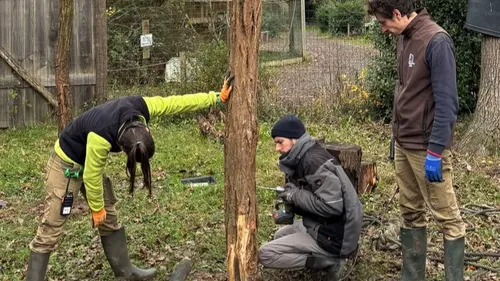 Spaycific'Zoo prépare le retour des visiteurs