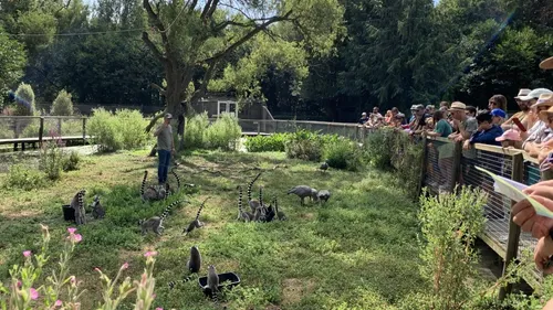 [PODCAST] Découvrir la biodiversité pour mieux la protéger à...