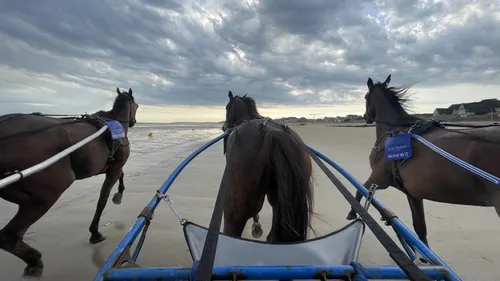[PODCAST] Les Estivales de Cabourg : on a testé le sulky !