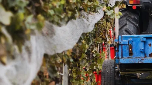 Vendanges : vigilance sur les routes girondines