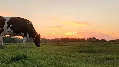 La FDSEA de l'Orne appelle à manifester à Alençon