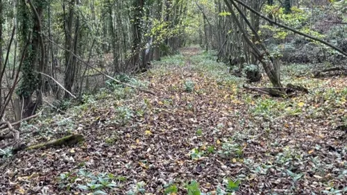 Tourisme nature : un peu plus d'un kilomètre de voie verte entre...