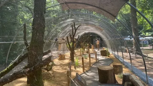 Le Zoo de Pescheray inaugure une volière immersive