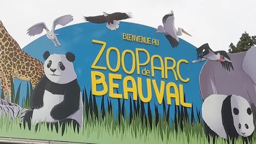 Dauphins d'Antibes et de Port-Saint-Père : le "ZooParc de Beauval"...