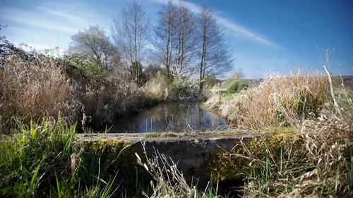 Seine-Maritime : partir à la découverte des espaces naturels sensibles