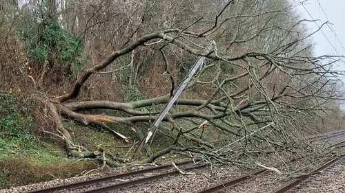 Vents violents : la Normandie en "alerte orange"